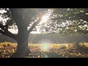 Silent Autumn Inspiratievideo